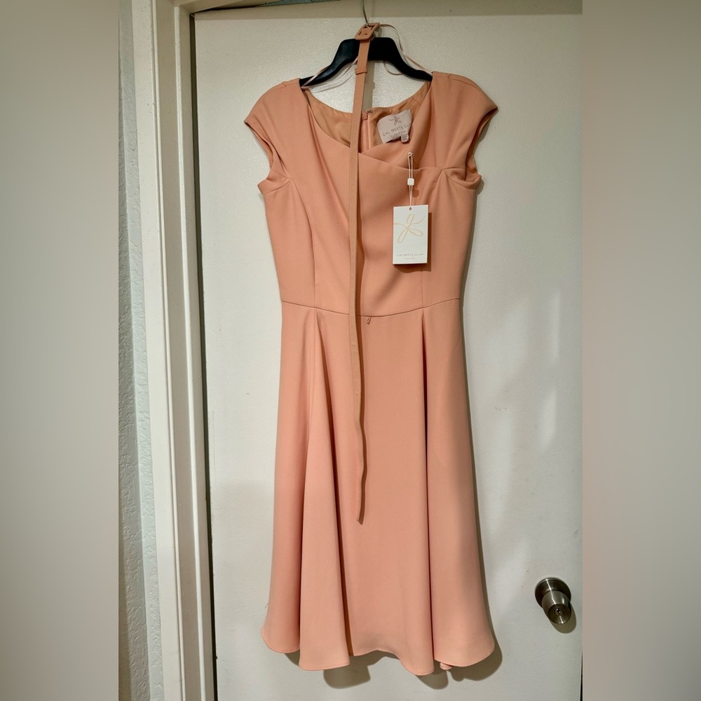 Gal Meets Glam Swing Dress